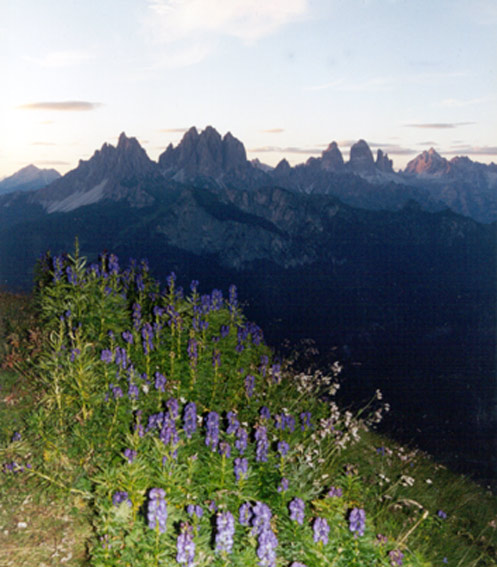 montagna4-01.jpg