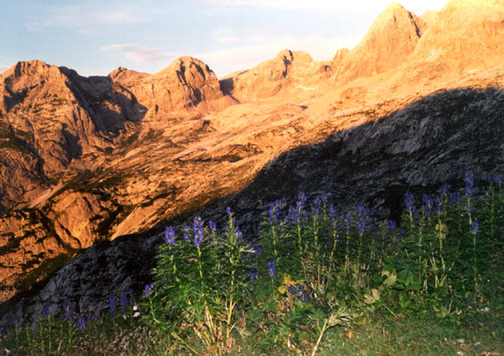 montagna5-01.jpg
