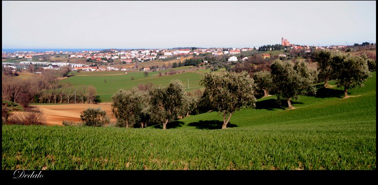 montescudo.jpg
