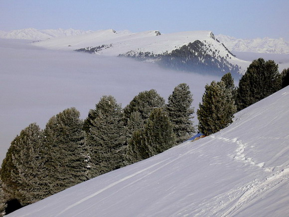 Monti001.jpg