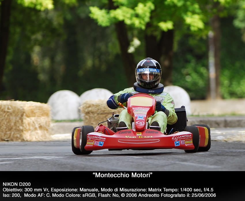 montm1.jpg