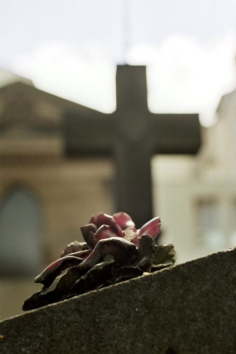 montmartre_tomba_028.jpg