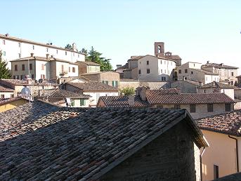 montone2.JPG
