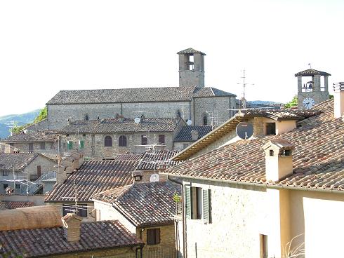 montone.JPG