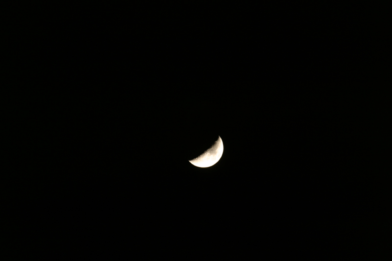 moon.jpg