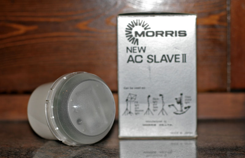 morris2.jpg