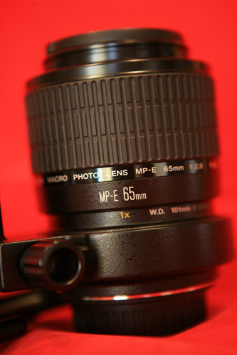 mp65.jpg
