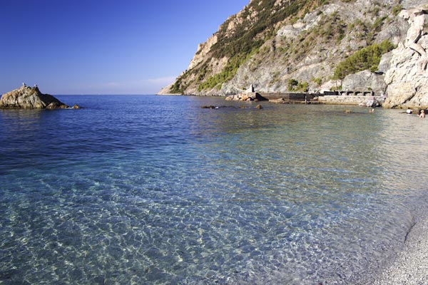 mterosso.jpg