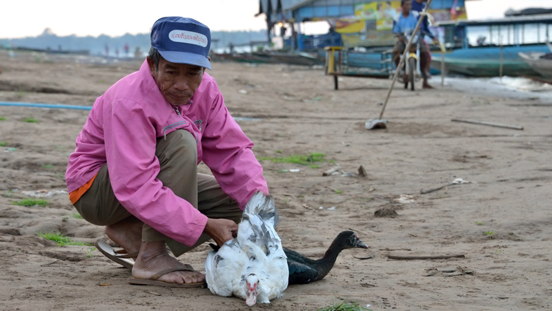 Muang Saen_07.jpg