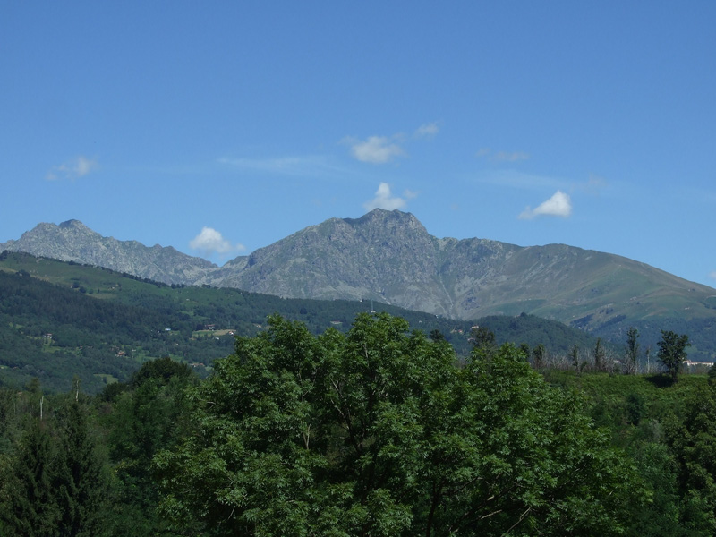 mucrone .jpg