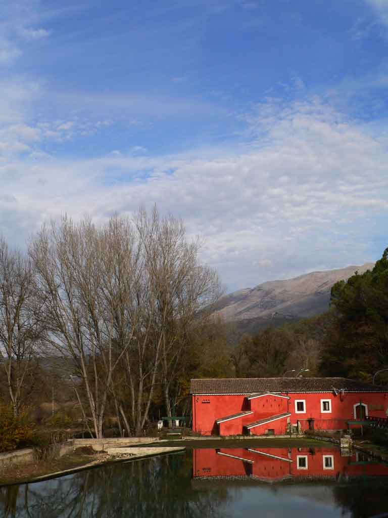 mulino.jpg