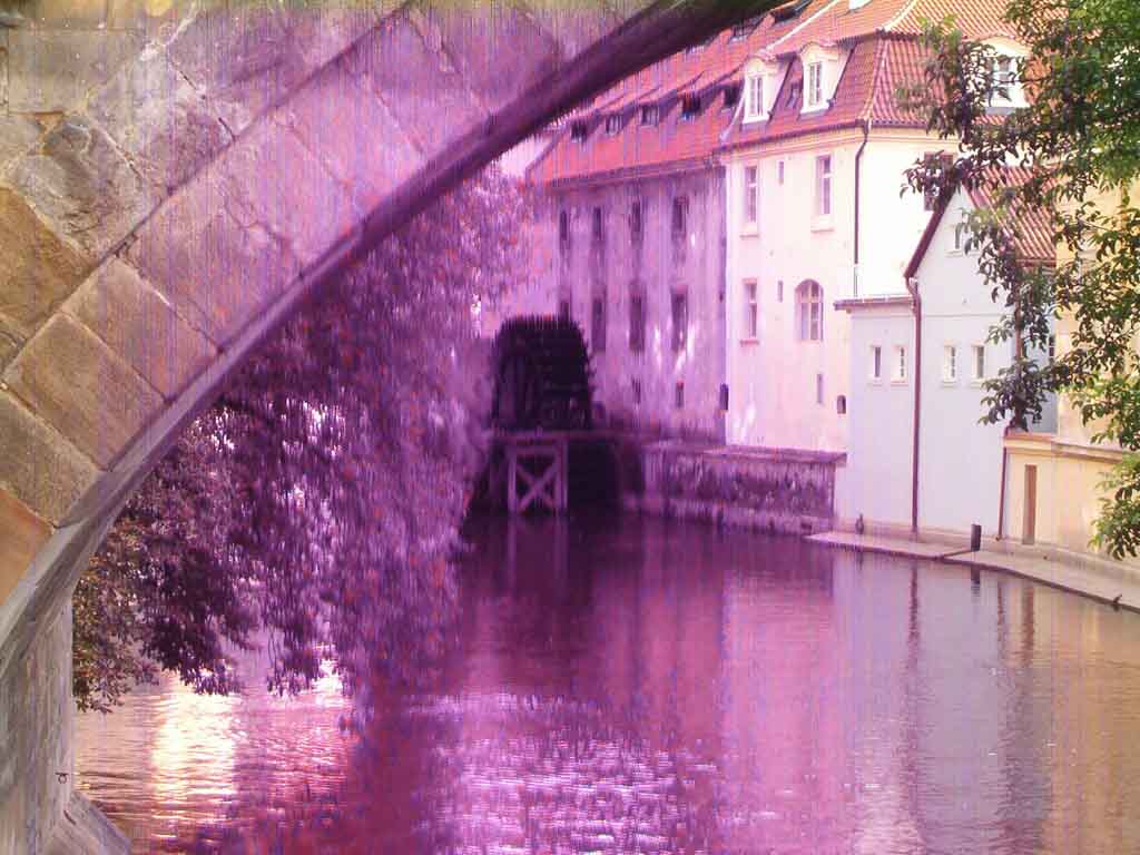 mulino.jpg