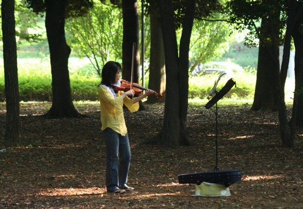 musica nel parco.jpg
