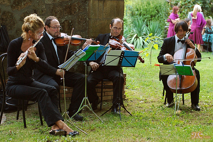musici-matrimoniali.jpg