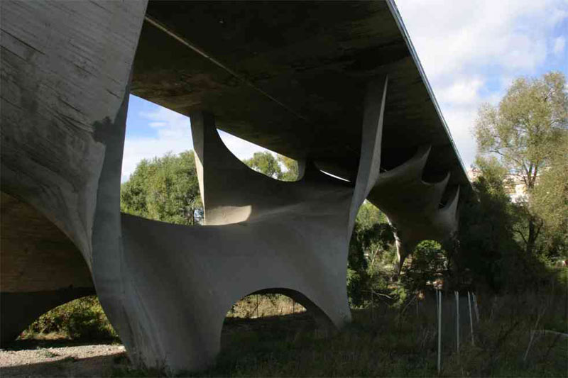 musumeci1.jpg