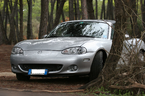 mx5.jpg