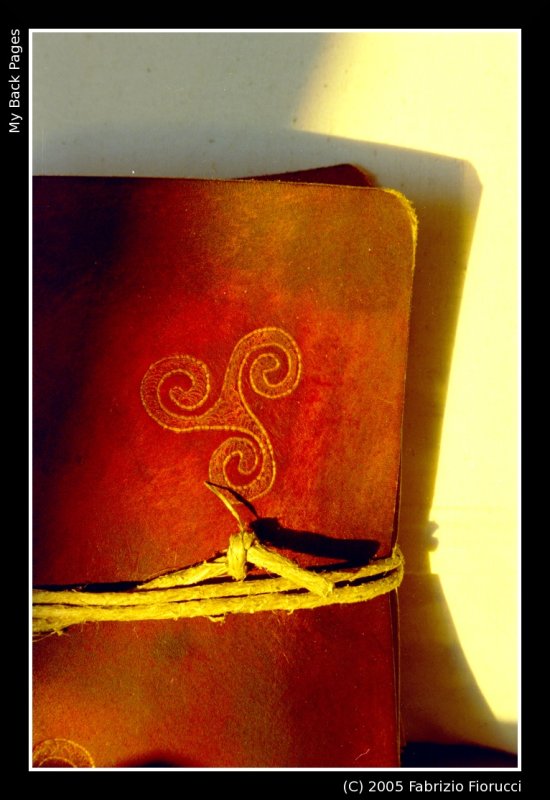 my.back.pages2.jpg