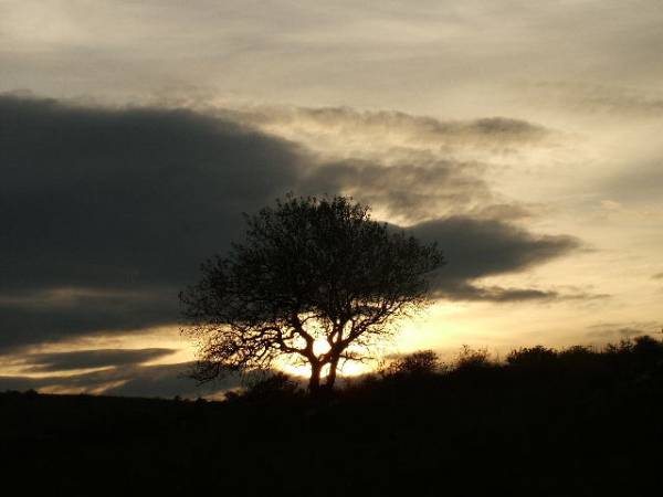 my land - 2.JPG