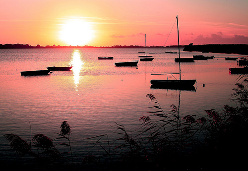 my pink world.jpg