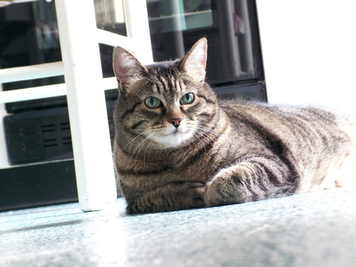 myhome0023_1.jpg