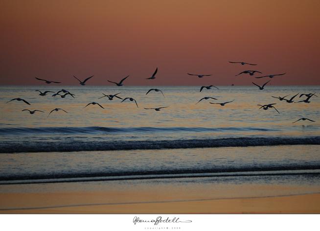 myphoto(3).jpeg