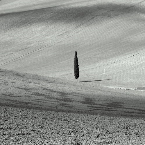 n2-1.jpg