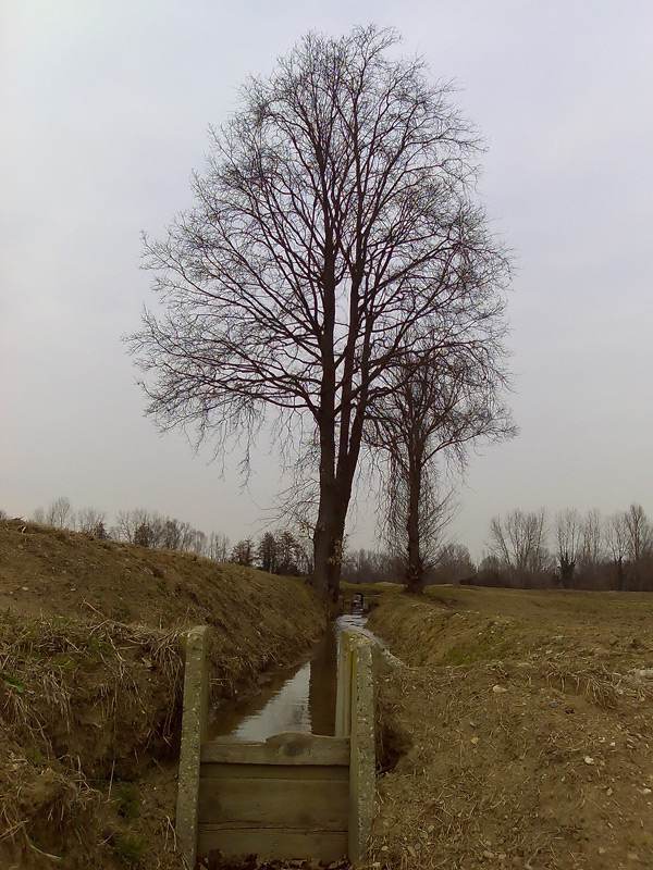 N80b-modificata.jpg