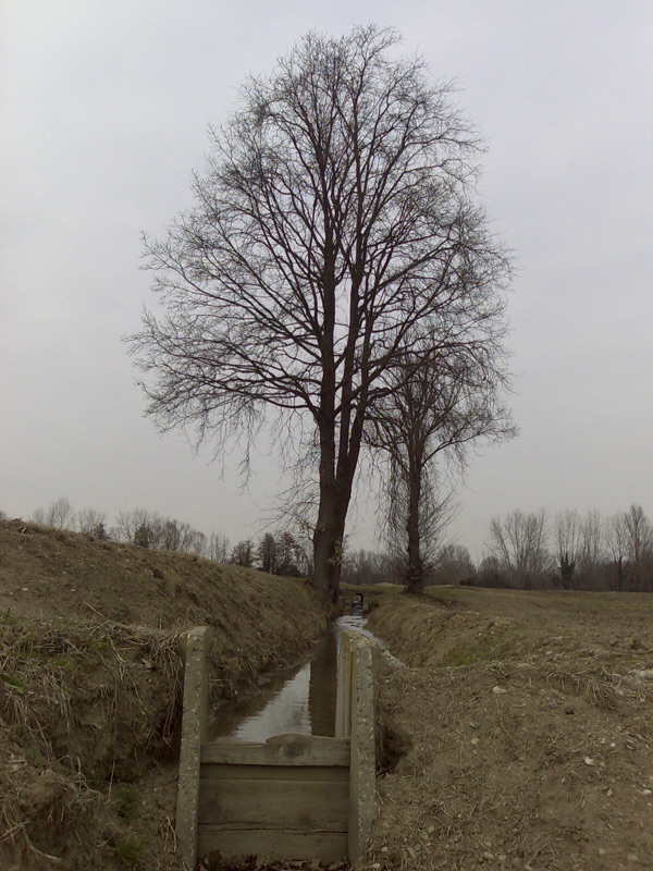 N80b.jpg