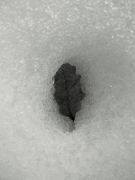 n8.jpg