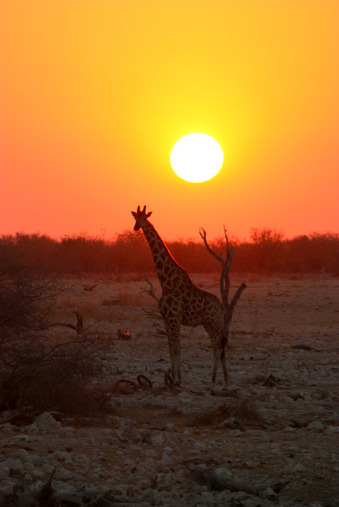 Namibia-121-2.JPG