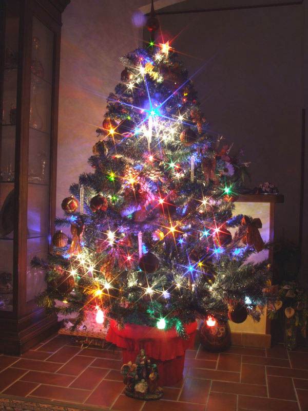 Natale 2005.jpg