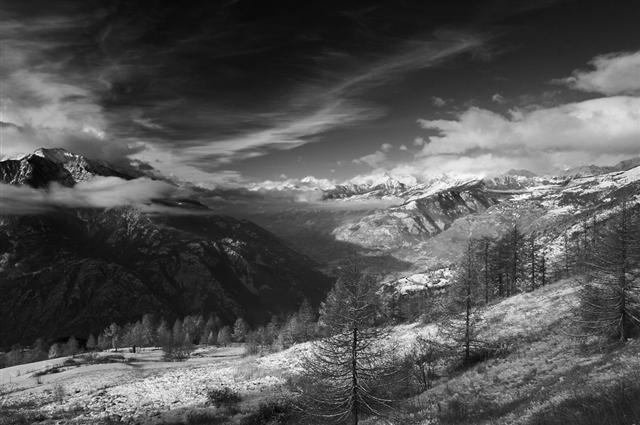 natale 2005 8bn (Small).jpg