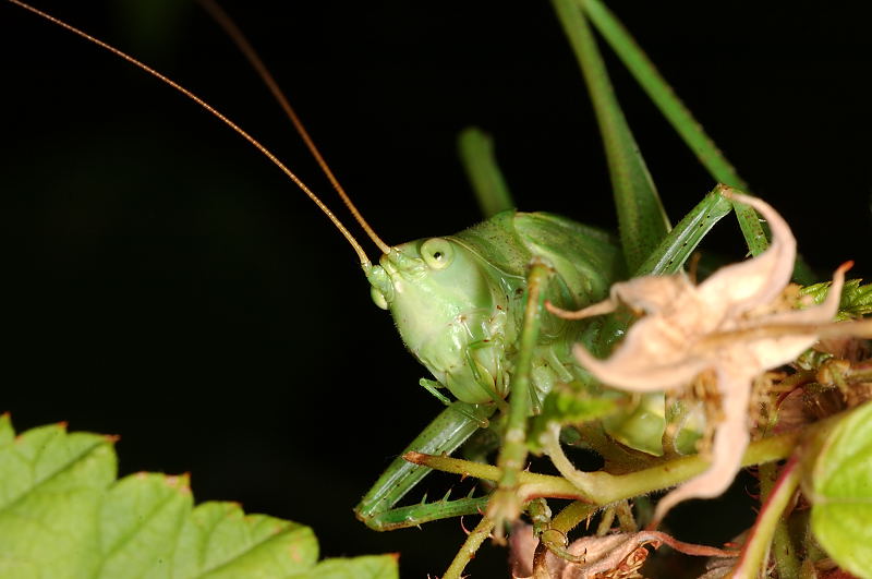 natura-8450.jpg