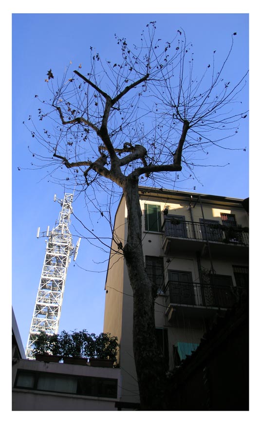 natura-e-tecnologia_w.jpg