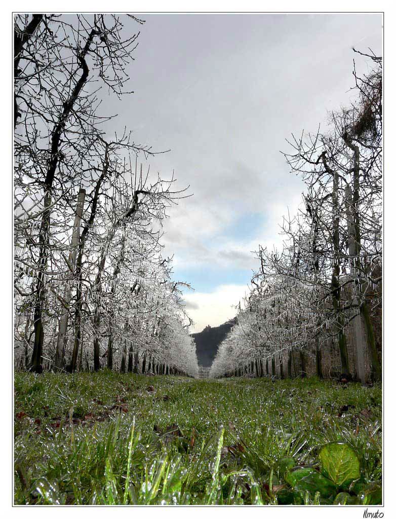 natura-ibernata.jpg