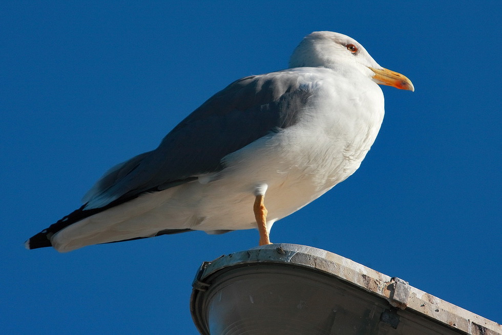 Natura006a.jpg