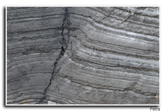 natura09 (Small).jpg