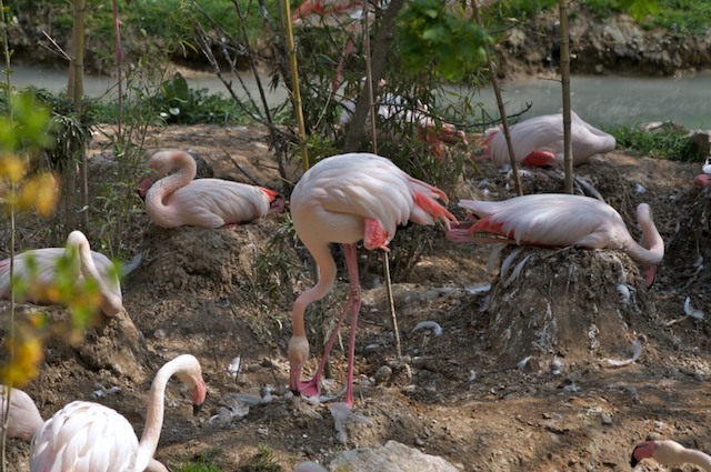 Natura_02_Focale_150.jpg