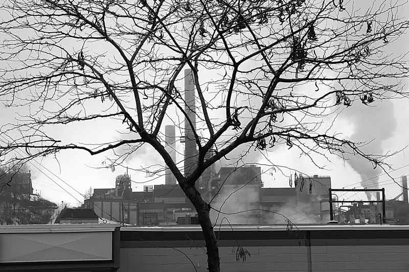 nature-&-industry.jpg