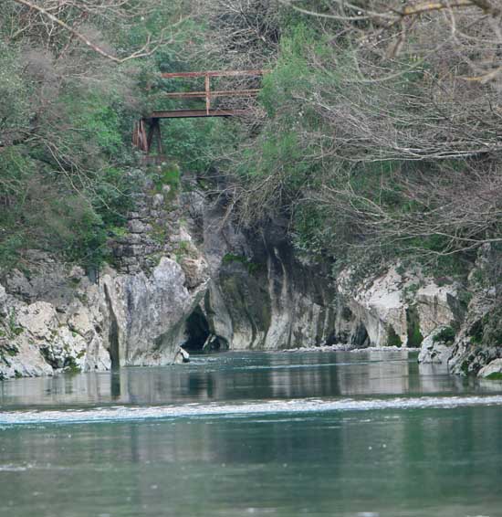 nature.jpg