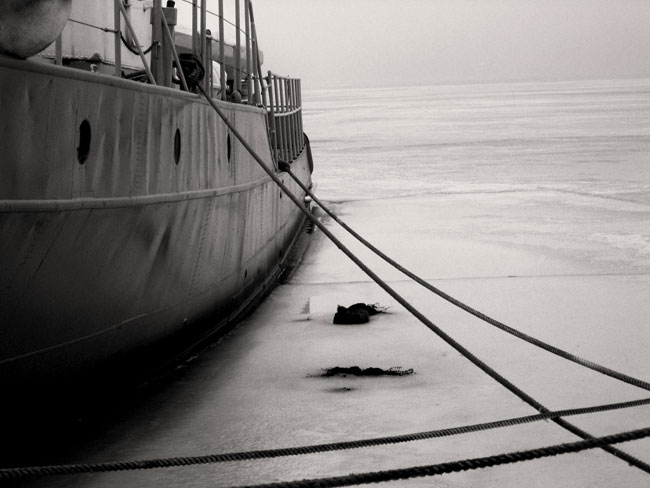 nave.jpg