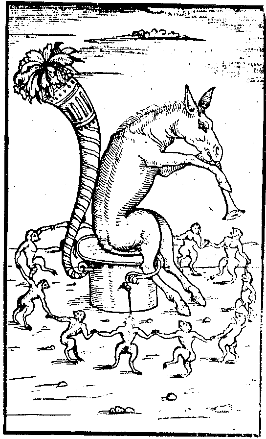 nazari2.gif