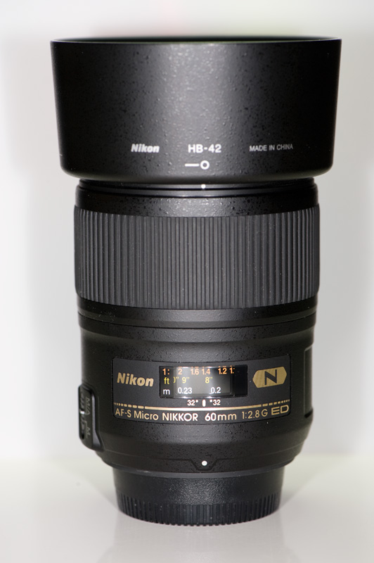 ND3_2154.jpg