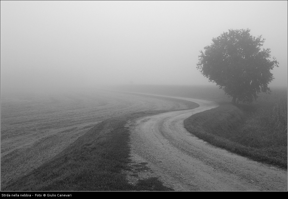 Nebbia-bn.jpg