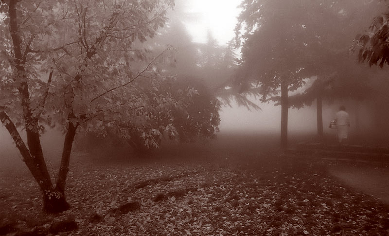 nebbia-seppia-2.jpg