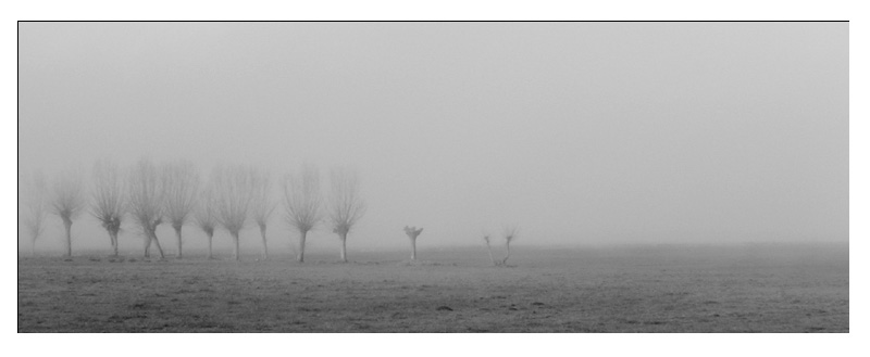 nebbia.jpg