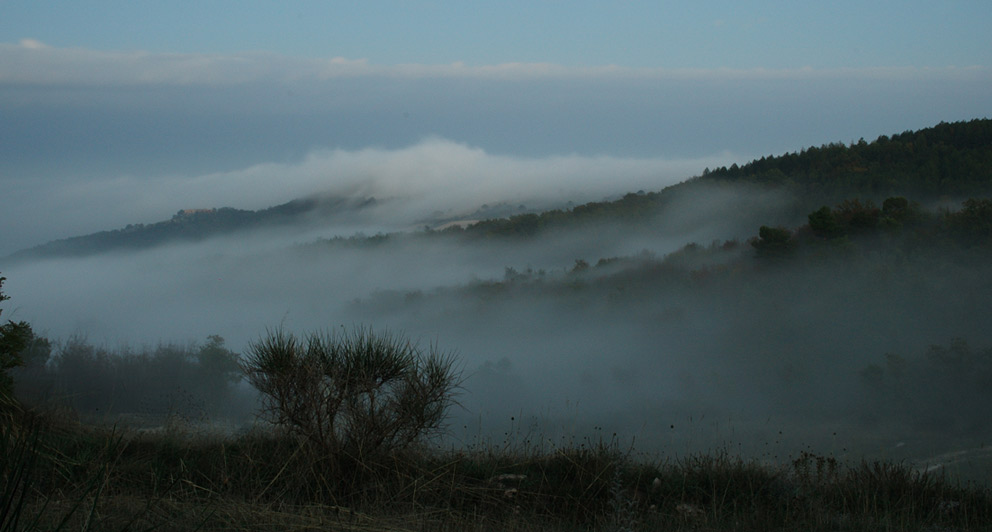 nebbia1.jpg
