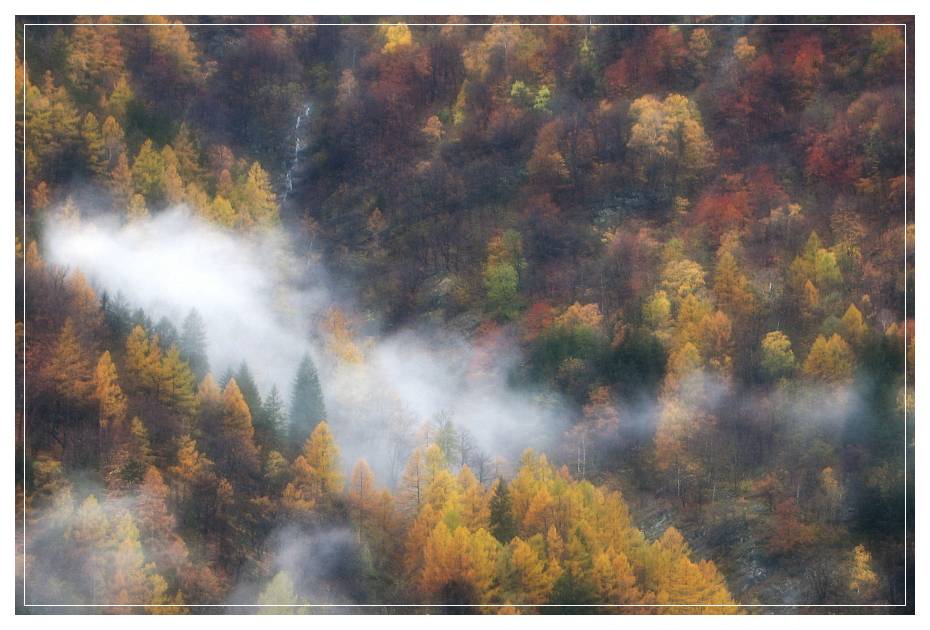 nebbia2.jpg