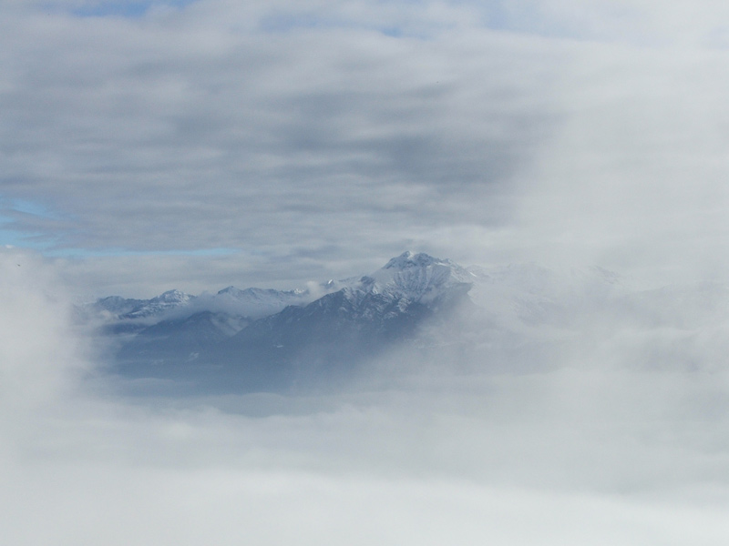 nebbia3.jpg