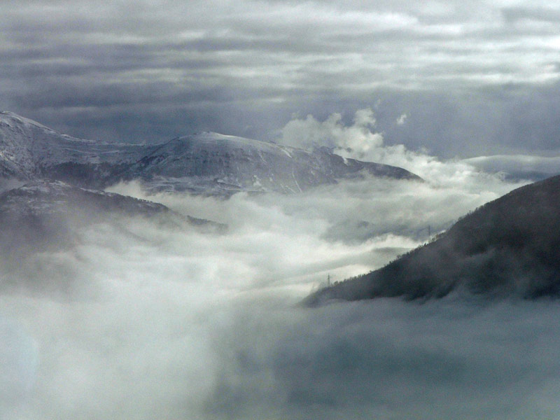 nebbia4.jpg